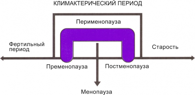 Учащение сердцебиения и повышение артериального давления